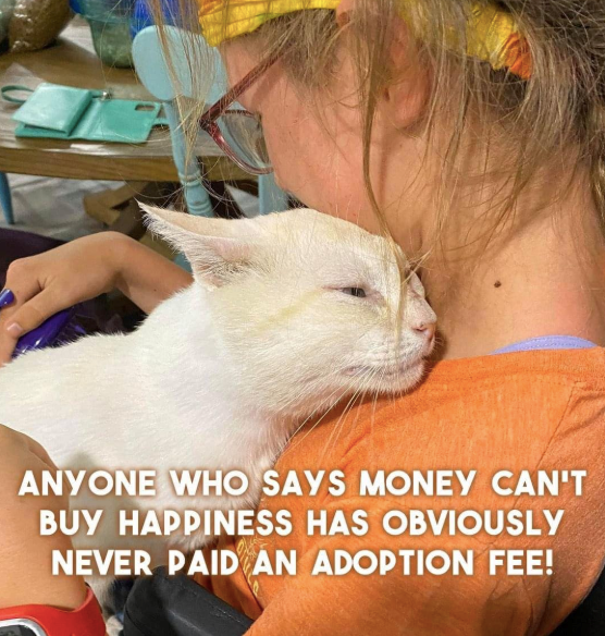 anyone-who-says-money-cant-buy-happiness-has-obviously-never-paid-an-adoption-fee.png