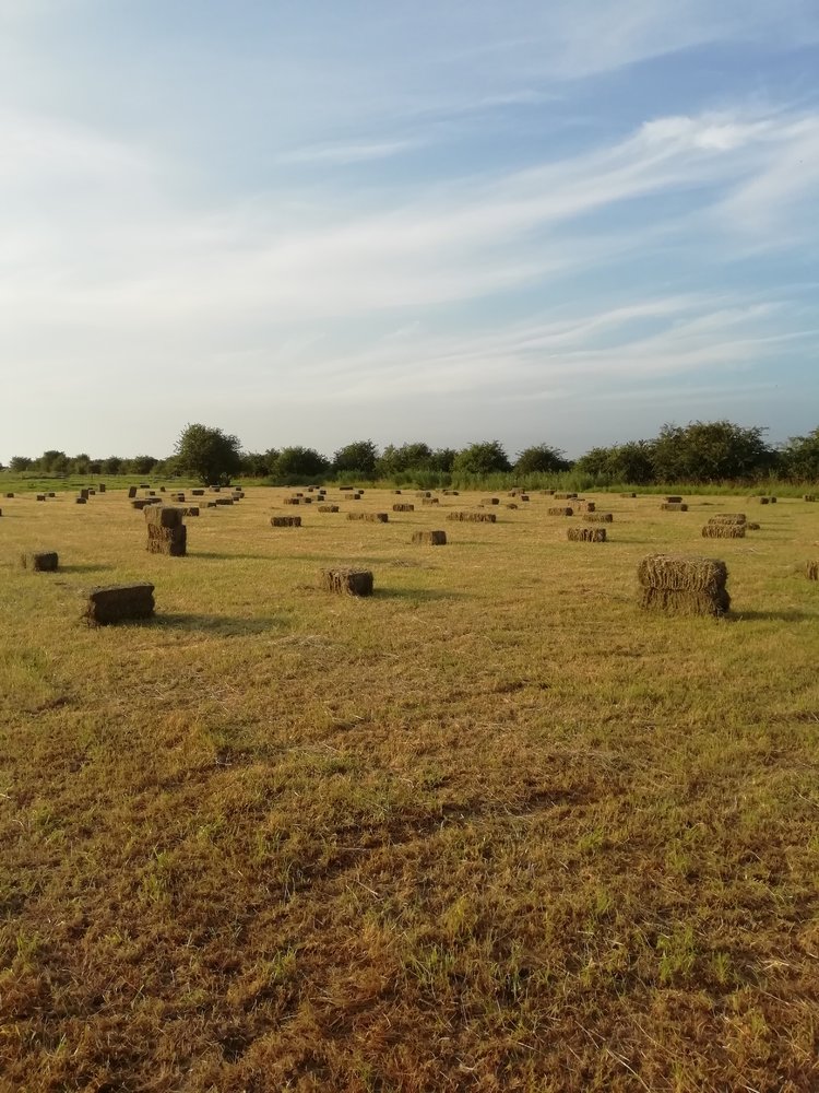 Bales July 2021.jpg