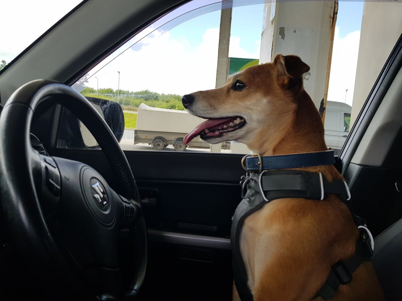BinkyDriver.jpg