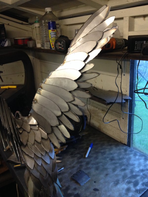 bird update 2 001.JPG