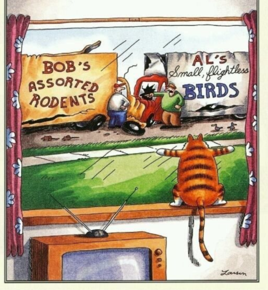 bobs assorted rodents crash.png