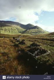 bog (1).jpeg