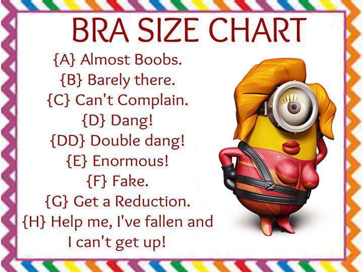 BraSize.jpg