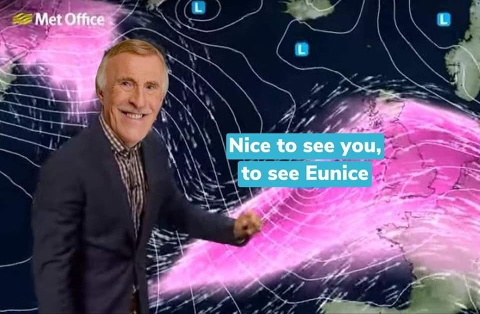 Brucie.jpg