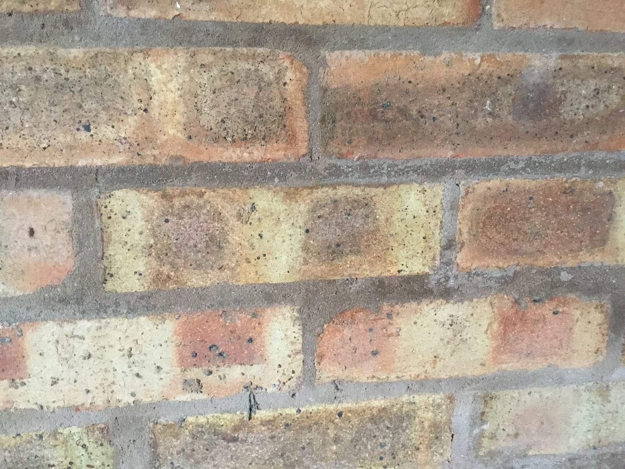 C5767695-0CBC-42FA-8F7F-DB1DE5776791.jpeg