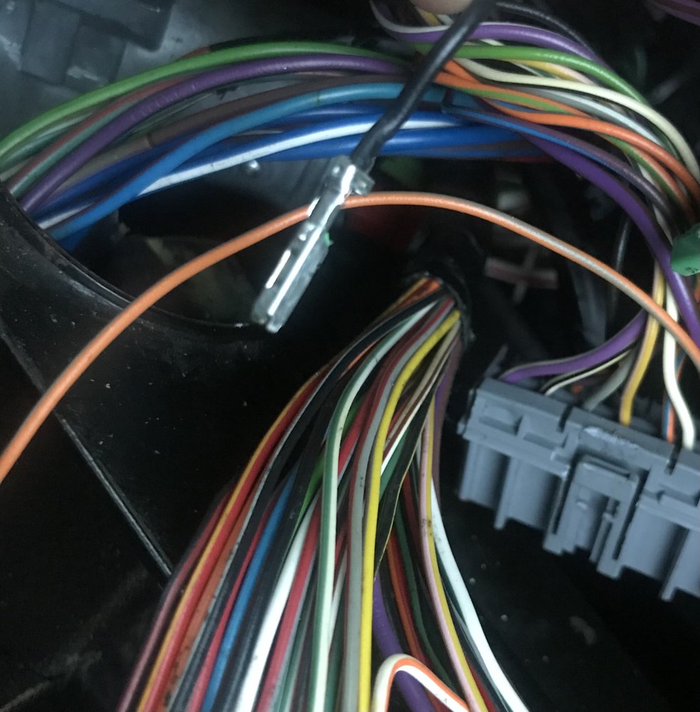 C5D26089-AC18-48B8-B485-540ECB80E0F1.jpeg
