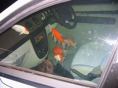car_aquarium_10.jpg