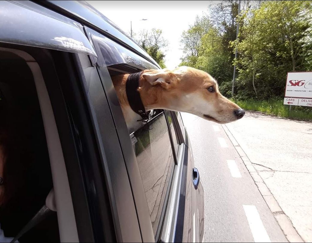 CarWindow.JPG