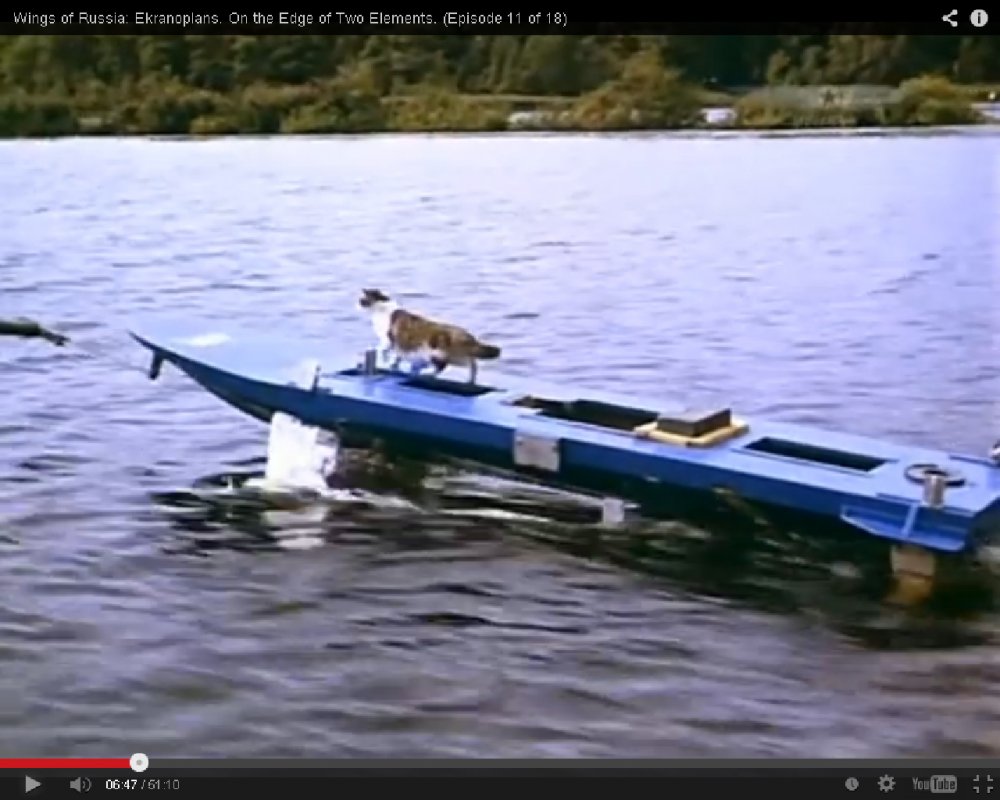 Cat on Hydroplane.jpg