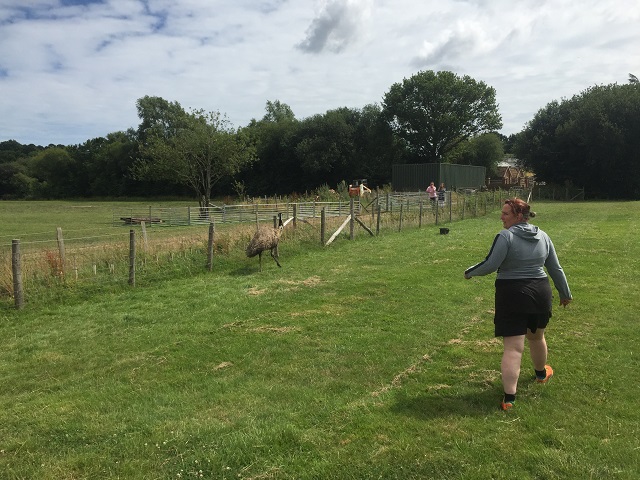Catch-That-Emu.jpg