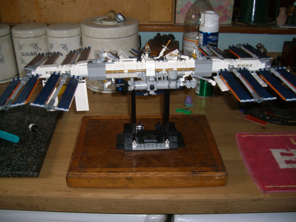 CIMG5452 (Medium).JPG