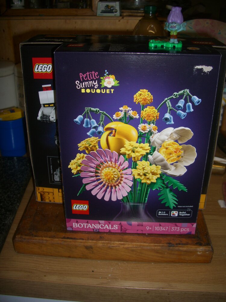 CIMG5950.JPG