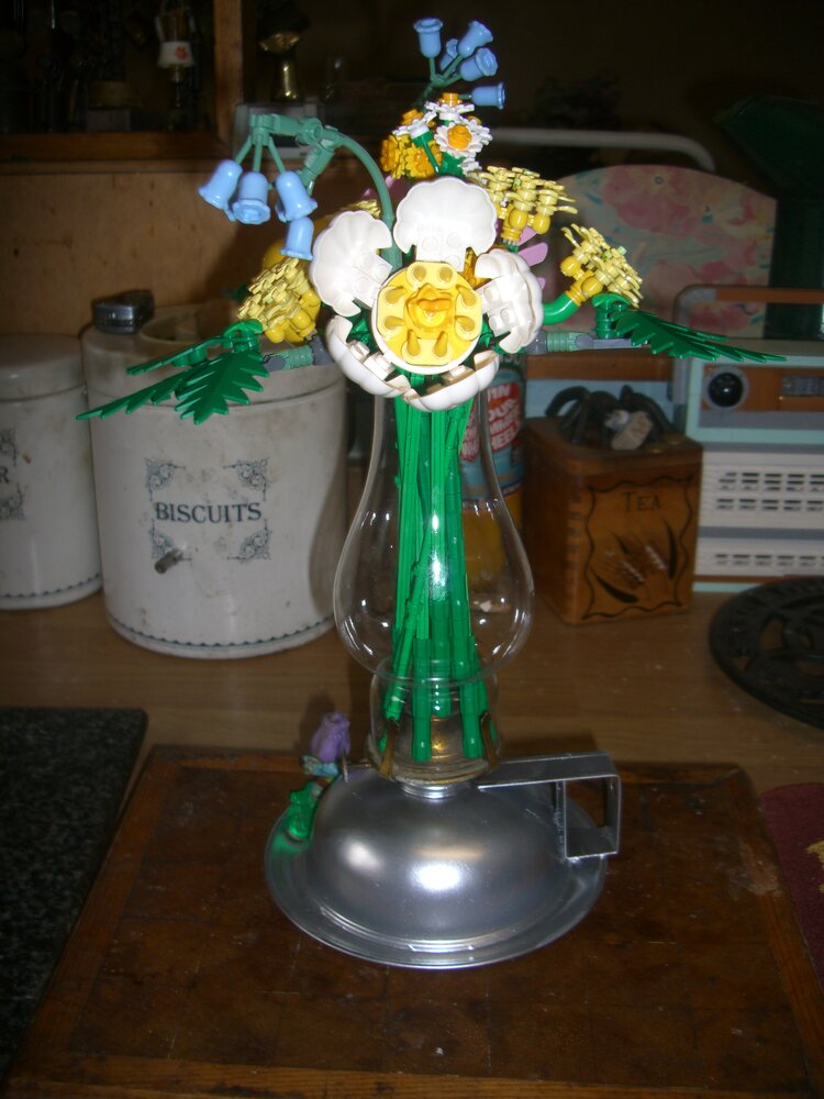 CIMG5973.JPG