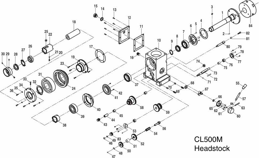 CL500M Headstock.jpg