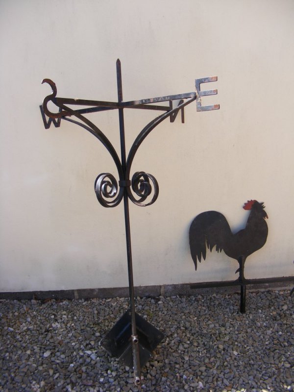 cock.JPG