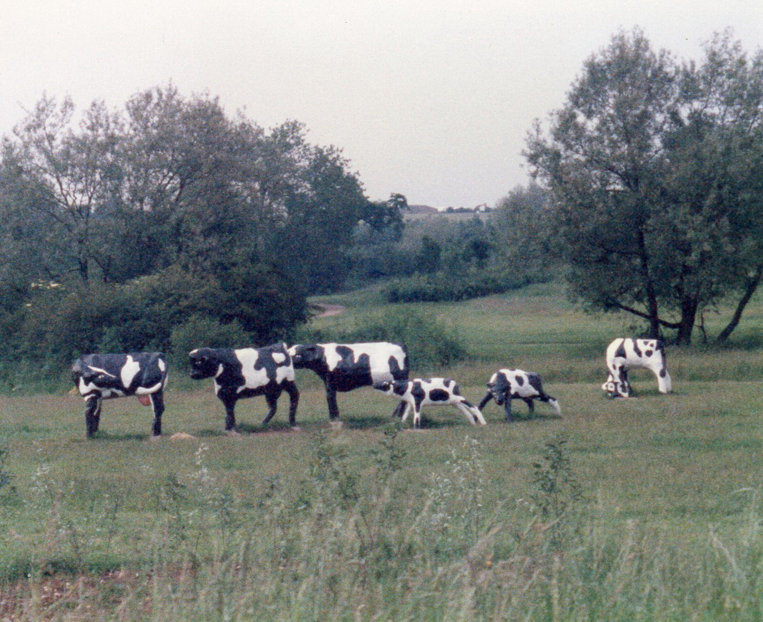 ConcreteCows.jpg