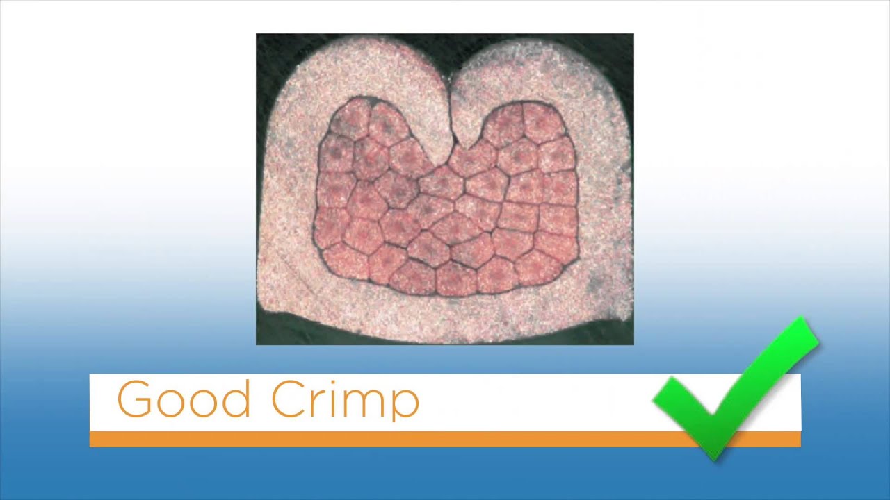 CrimpSection.jpg