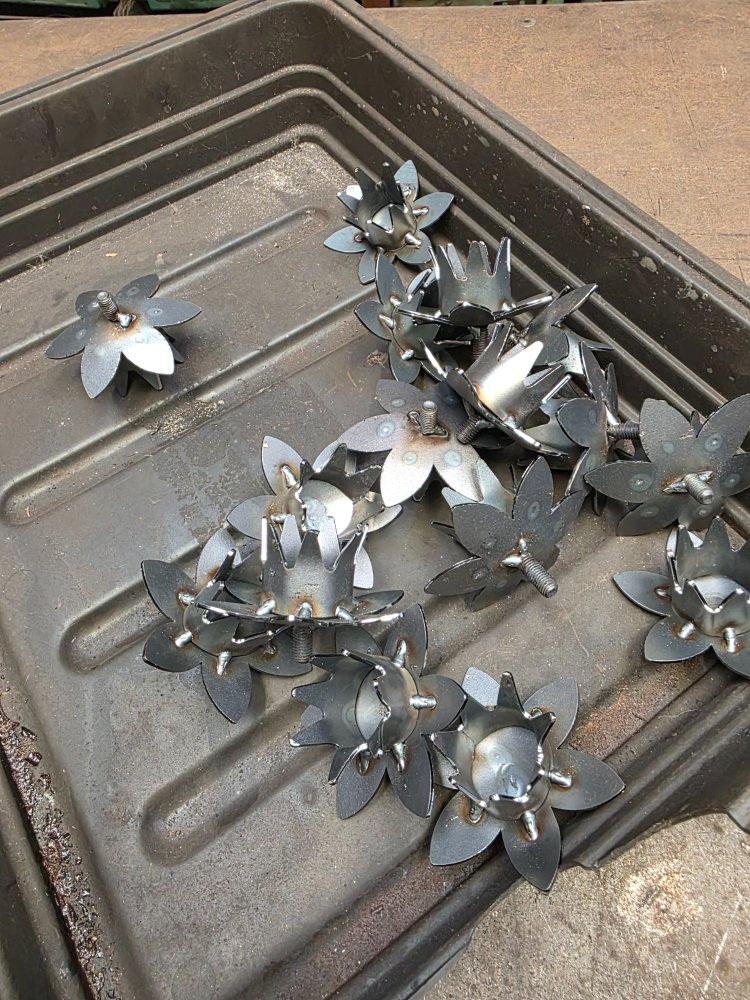 daffs final versions 1.jpg