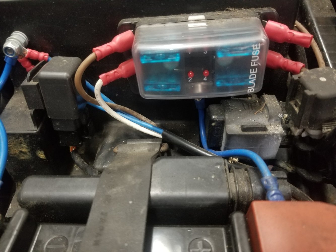 DL650fuseboxR.jpg