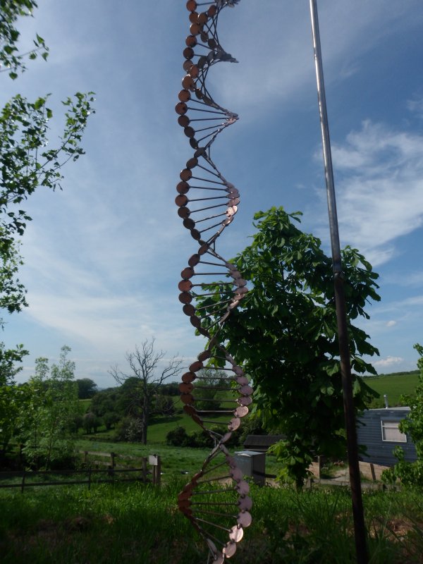 DNA 004 - Copy.JPG