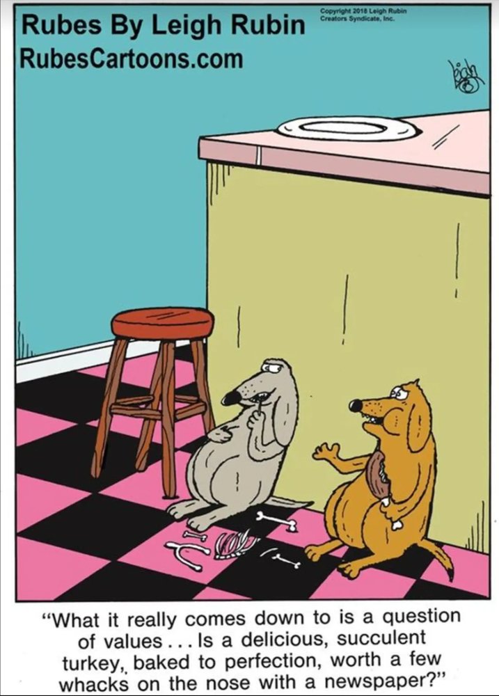 Dogs with turkey.jpg