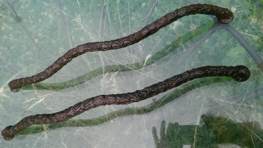 Door handles started rusting.jpg