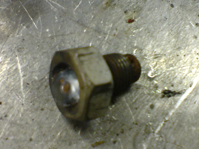 DSC00431.JPG