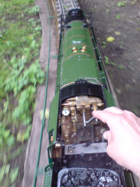 DSC00452.JPG