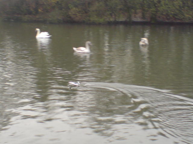 DSC00661.JPG