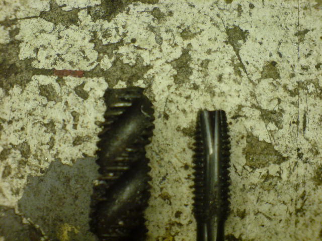 DSC00730.JPG
