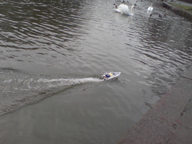 DSC00776.JPG