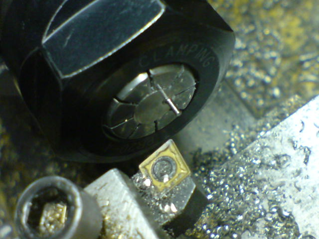 DSC01188.JPG