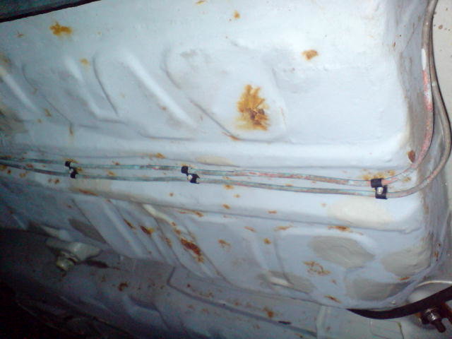 DSC01366.JPG