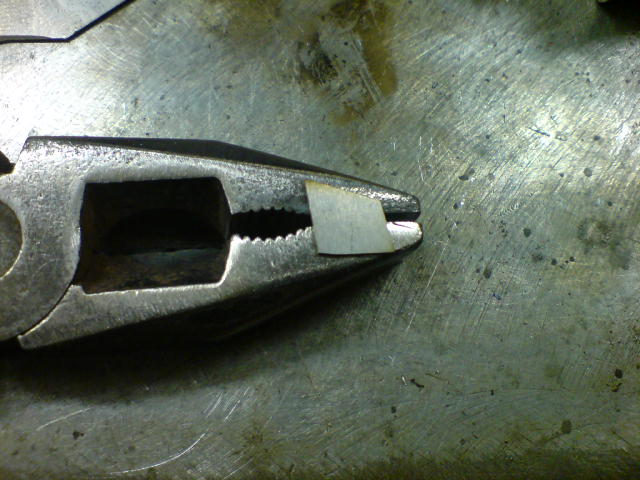 DSC01674.JPG