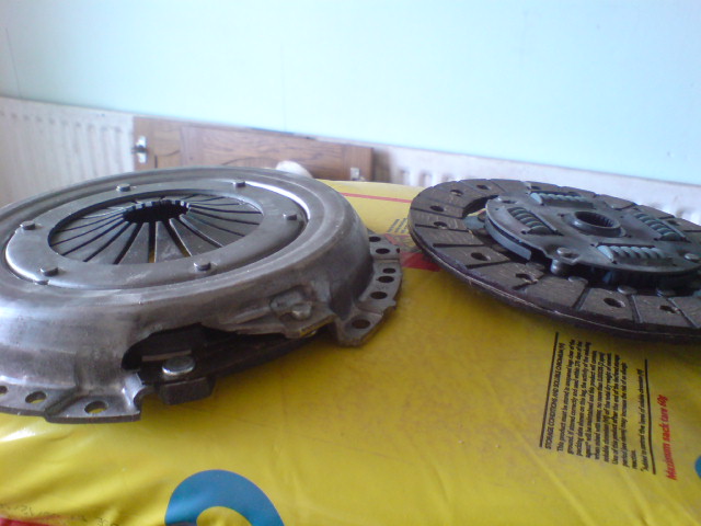 DSC04316.JPG