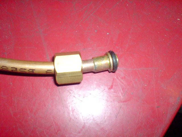 dsc04330-jpg.89207
