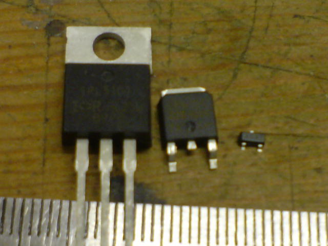 DSC05165.JPG