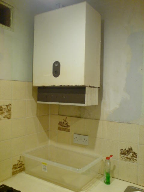 DSC05791.JPG
