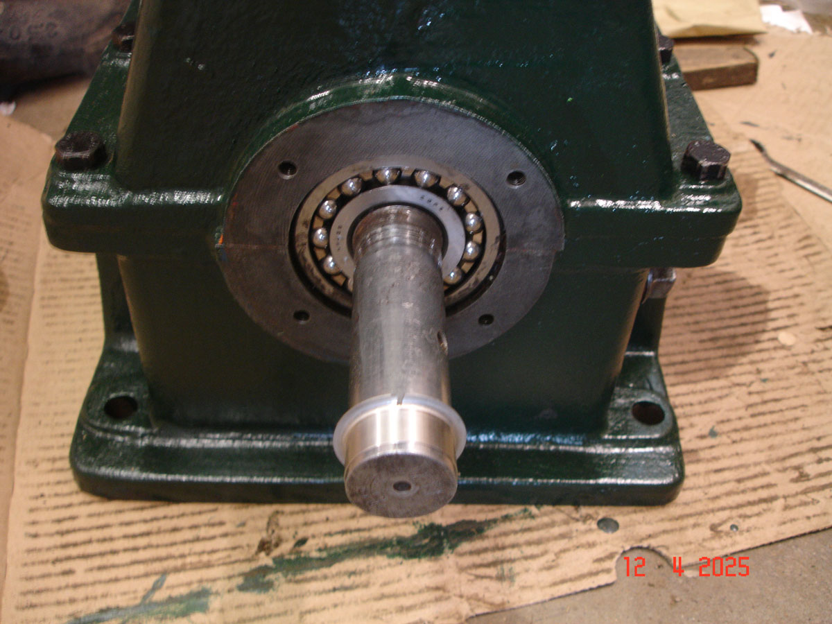 DSC08638.jpg