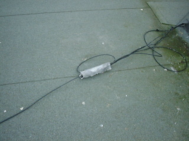Dsc61.jpg