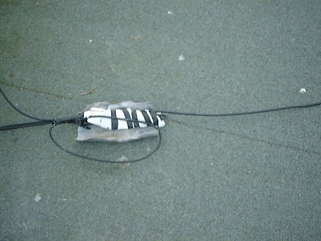 Dsc64.jpg