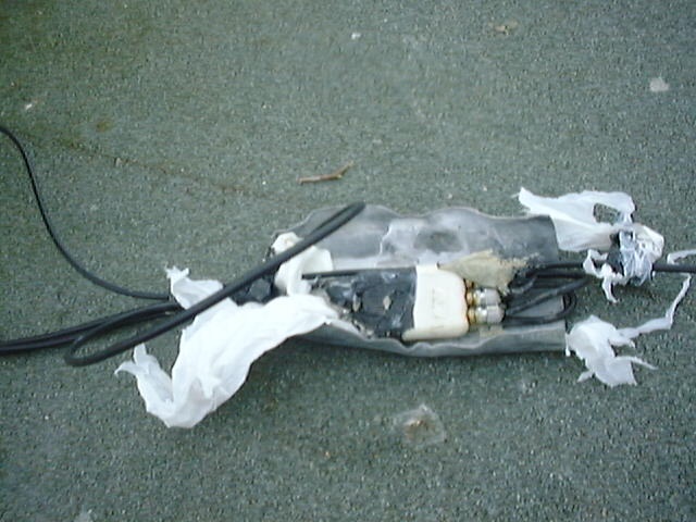 Dsc65.jpg