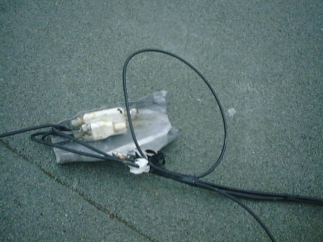 Dsc66.jpg
