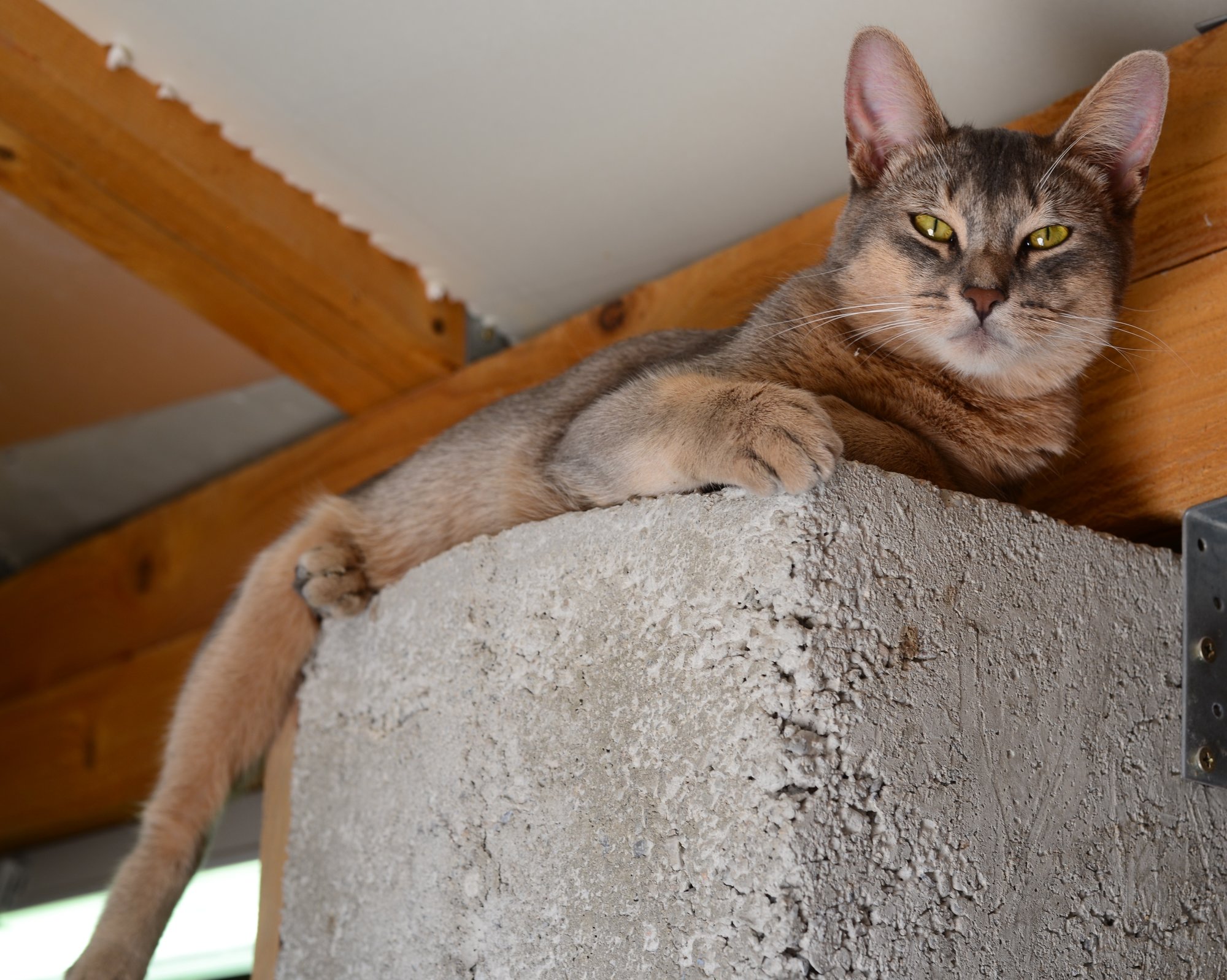DSC_2842.JPG