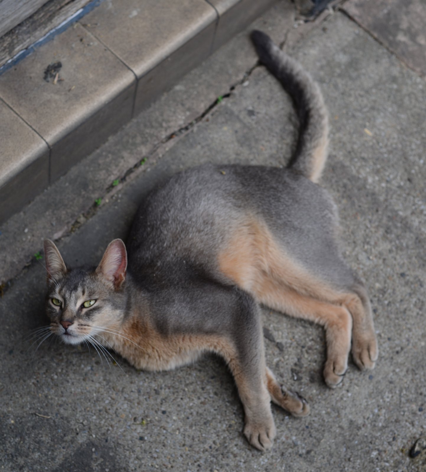 DSC_4114.JPG