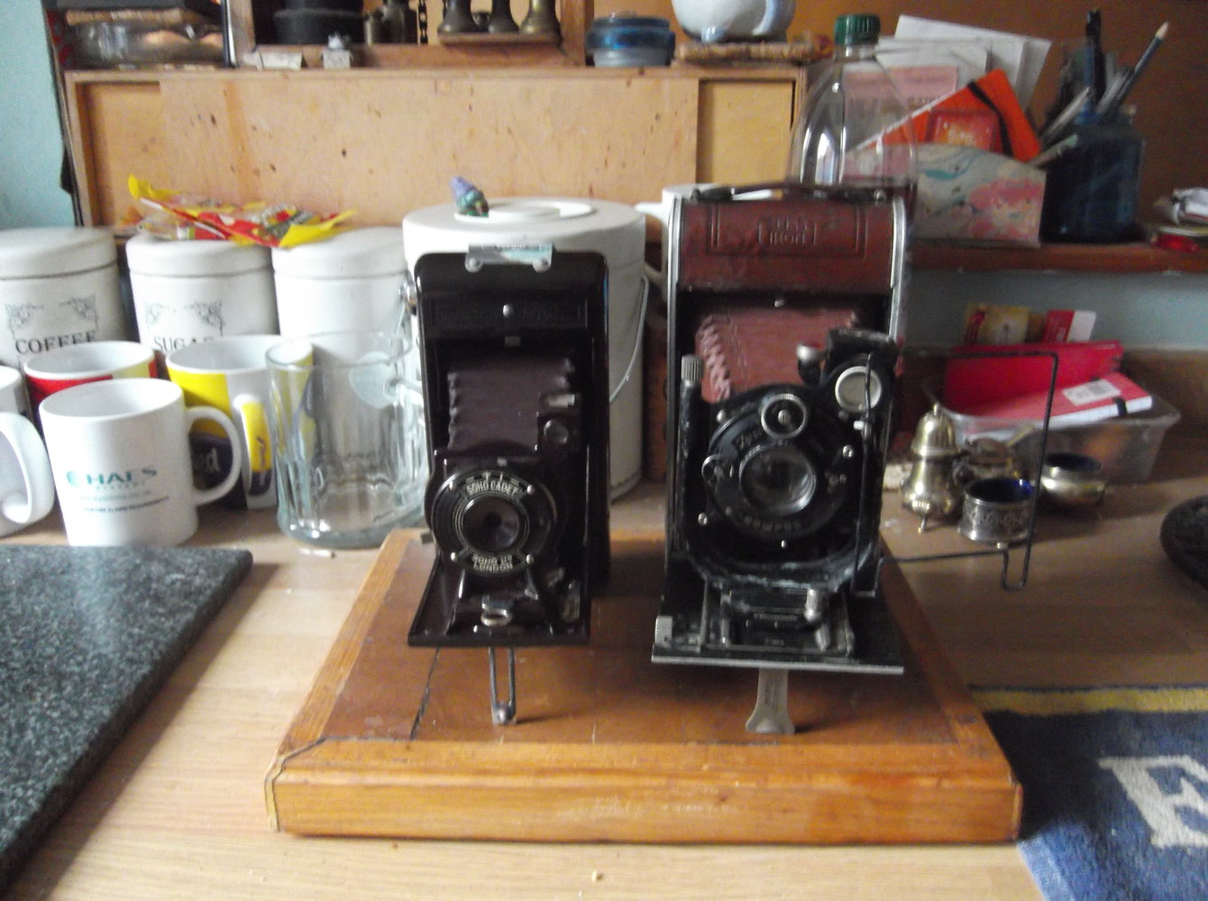 DSCF1275.JPG