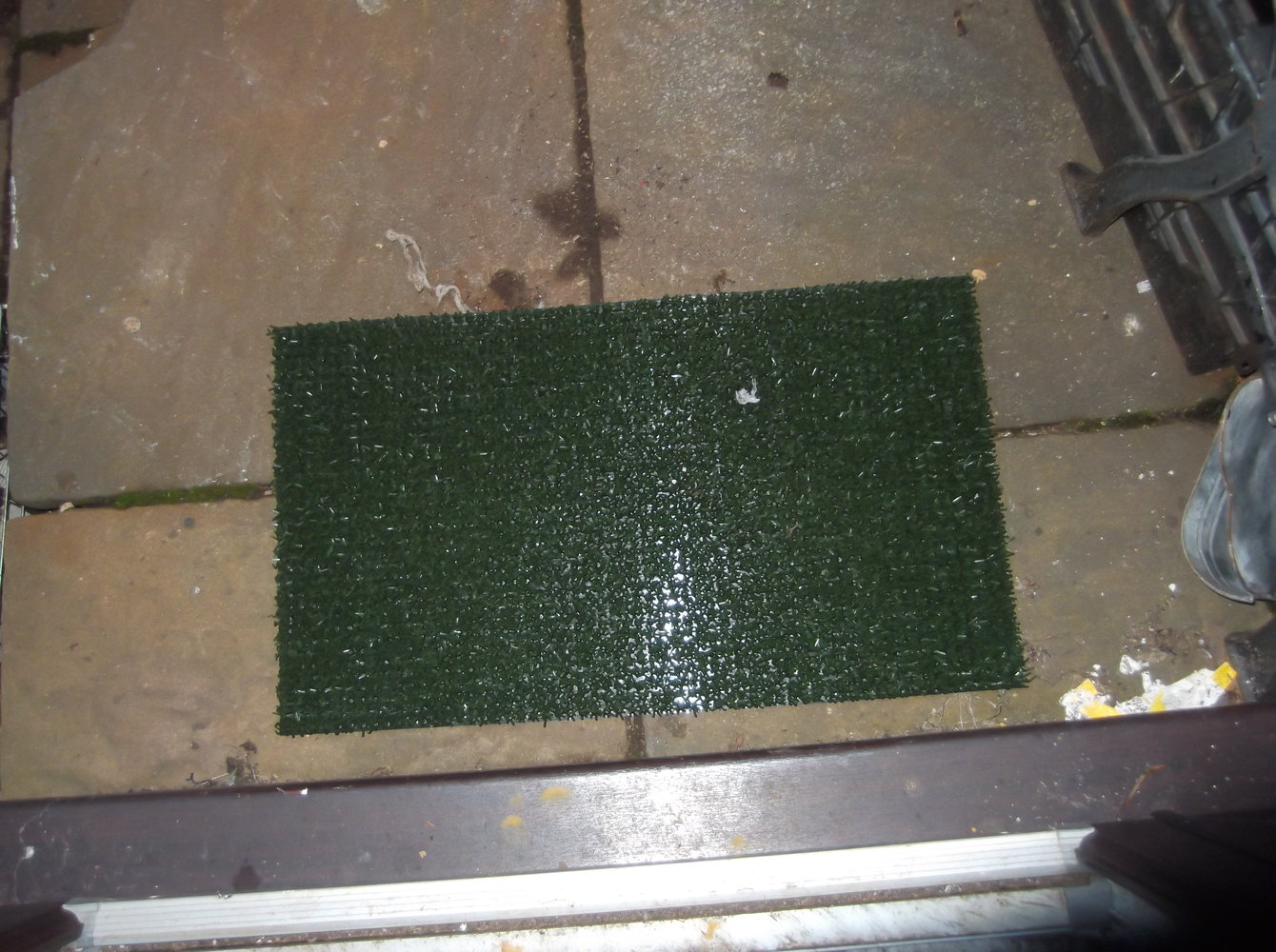 DSCF1578.JPG
