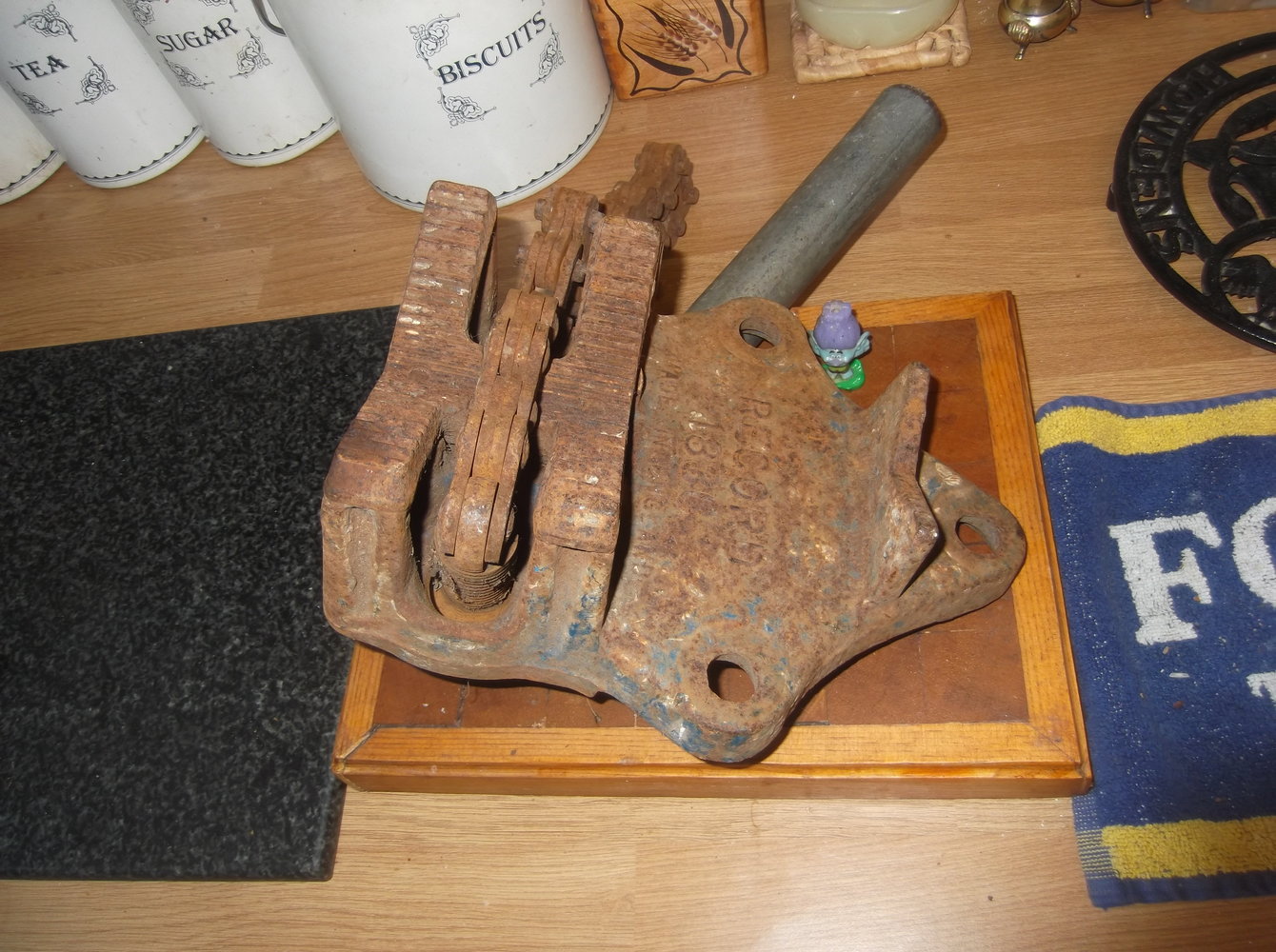DSCF2915.JPG