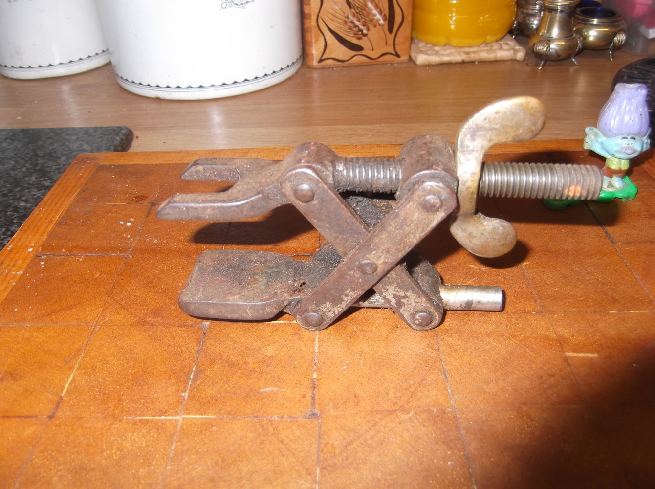 DSCF3017.JPG