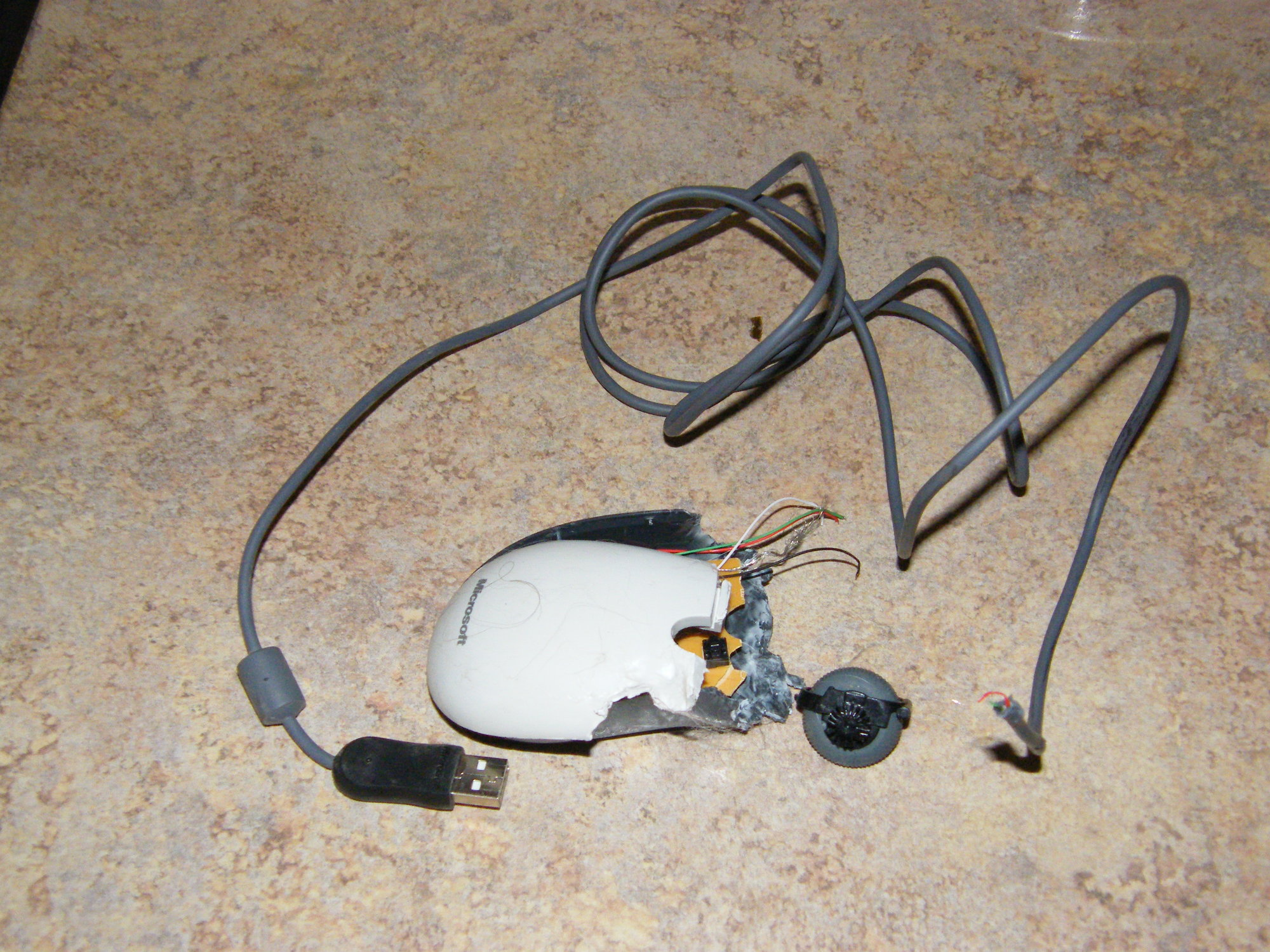 DSCF3319.JPG